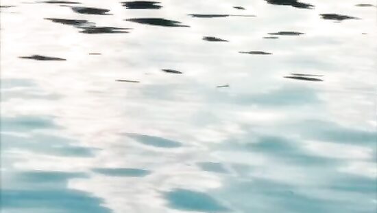 Miraculous Mermaid
