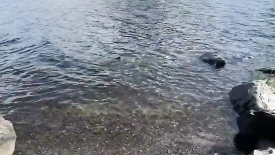 а потом сразу в речку нырнём