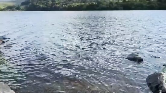 а потом сразу в речку нырнём