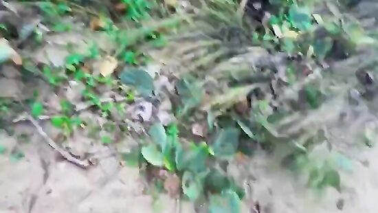где-то на берегу океана