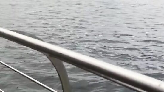 на улице ураган и голые сиськи