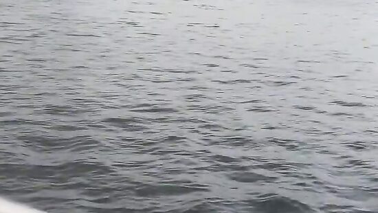 на улице ураган и голые сиськи
